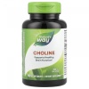 Natures`Way Choline 100 капс